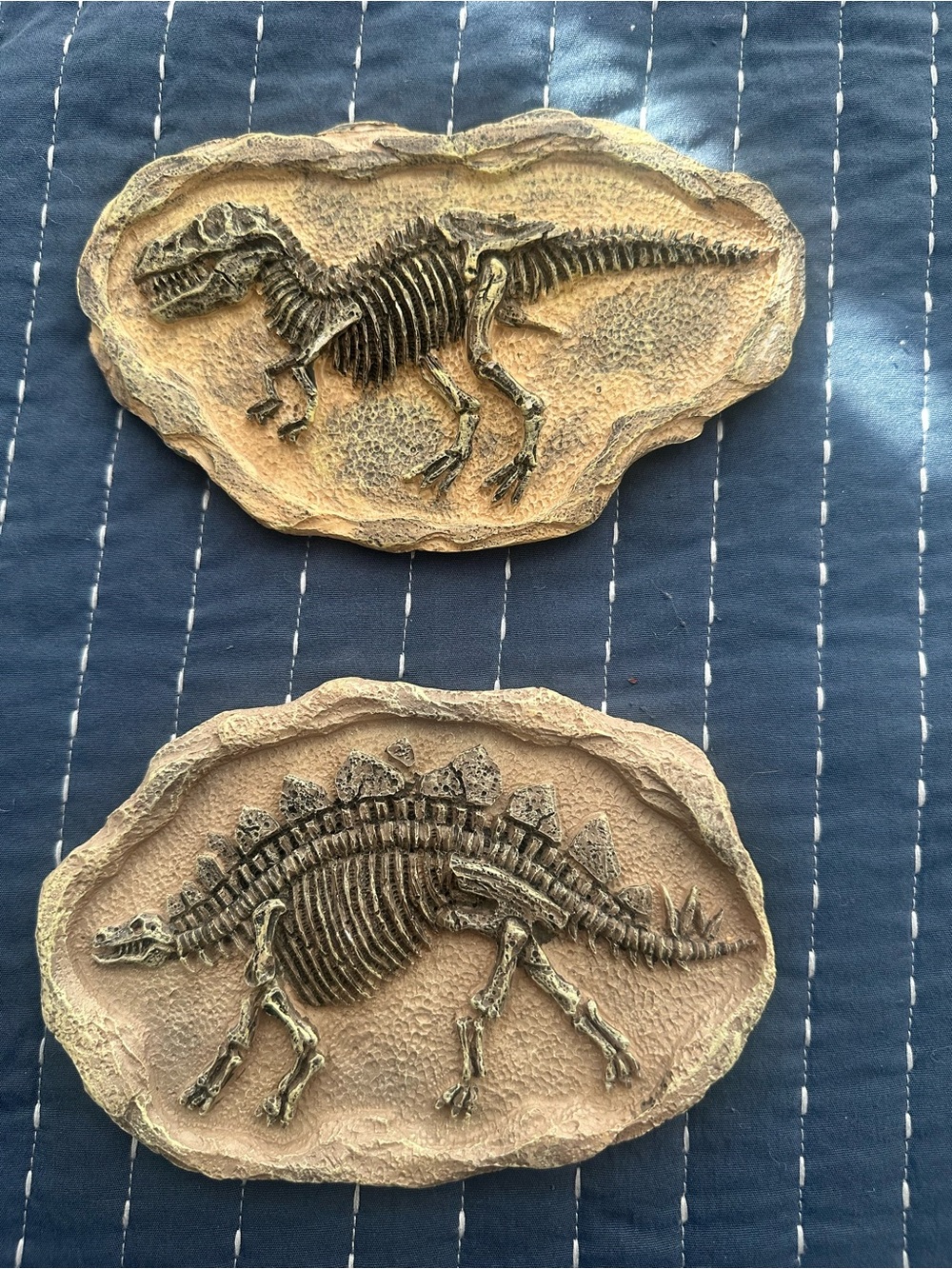 Fossil Décor Plaques – Tan/Brown (Set of 2)